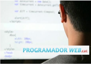 Botigues.cat: -Programador web-